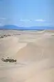 High shifting dunes