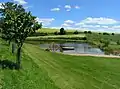 Lido