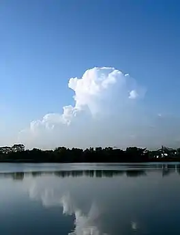 Lower Seletar Reservoir in the foreground with a reflection of the Cirrus clouds in the background.