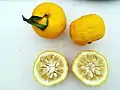 Citrus junos fruits and cross sections