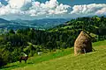 Haystacks Borșa Rodna Mountains National Park