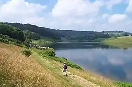 Photo of water and trees with walker on the edge of the water