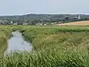 Cley Marshes