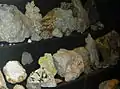 Minerals display: close-up.
