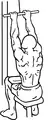 Narrow grip overhand pull-down begin