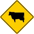 SP-49 Ox crossing