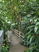 Greenhouse space