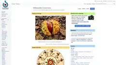 Screenshot of Wikimedia Commons