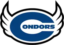 Team logo