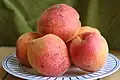 Crisommole (Vesuvian apricot)