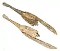 Spoon engraved in reindeer antler, Magdalenian c.&nbsp;17,000&nbsp;– c.&nbsp;12,000 BCE