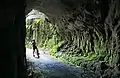 Today's timber trail in the curved tunnel of the Ongarue Spiral