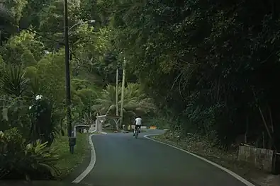 Curvy stretch of Puerto Rico Highway 568