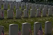 The "Old Field" with Civil War graves.