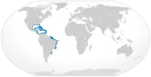 Caribbean reef shark geographic range