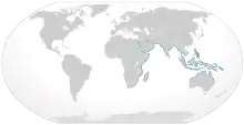 World map with blue coloring all around the periphery of the Indian Ocean from South Africa to northern Australia, and through Southeast Asia including the Philippines and New Guinea