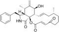 Cytochalasin A