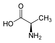 D-alanine.