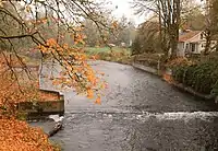 Fall image of the Nehalem River at Vernonia, Oregon