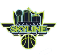 Dallas Skyline logo