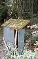 girls outhouse