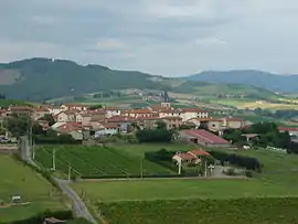 A general view of Dareizé