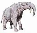 Deinotherium had downward-curving tusks and ranged widely over Afro-Eurasia.