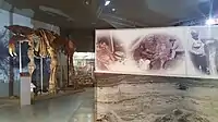 Deinotherium