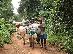 Two Toleki merchants on the road from Epulu to Mambasa