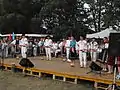 Folklore group during folklore festival