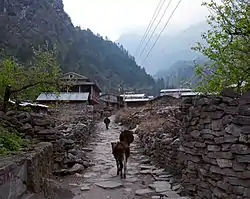 Dharapani village