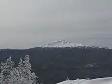 A mountain with steep slopes covered in snow rises above dense forest.
