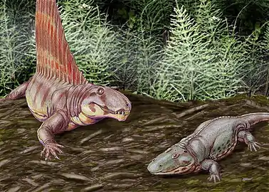Sail-backed pelycosaur Dimetrodon and temnospondyl Eryops from North America's Permian.