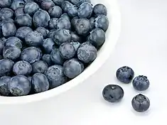 &nbsp;