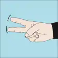 Cut the line: A request to another diver to cut a line or net. Often used in case of entanglement where the diver making the signal can not reach the point where the line should be cut.