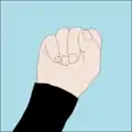 I am on reserve or I am on bailout gas or I am low on gas: Clenched fist held steady, about level with head or chest, palm side usually forward. Also may mean hold or stay there.