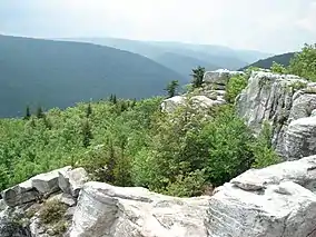 Dolly Sods Wilderness, West Virginia: View from atop Breathed Mountain.
