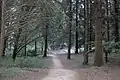 Donnelly Weir walking track