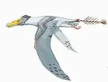 Dorygnathus banthensis