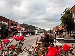 U.S. Route 221 Business