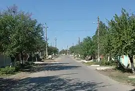 Main street in Dragomirești-Vale
