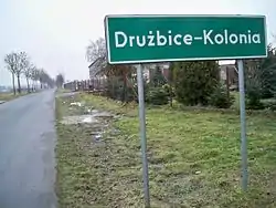Road to Drużbice-Kolonia