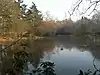 St Leonard's Park Ponds