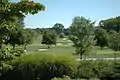 Fairway of the DuPont Country Club