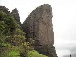 Dukes nose