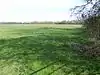 Dungee Corner Meadow