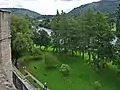 View from the tower