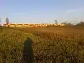 Abandoned farm (2)