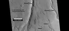 Possible inverted stream channels in Phlegra Dorsa region, as seen by HiRISE under HiWish program.  The ridges were probably once stream valleys that have become full of sediment and cemented.  So, they became hardened against erosion which removed surrounding material.