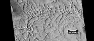 Linear ridge networks, as seen by HiRISE under HiWish program